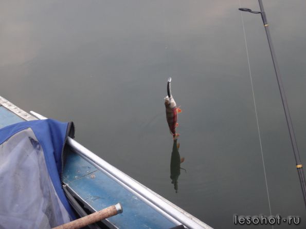 �������� 19.09.14 (9).JPG