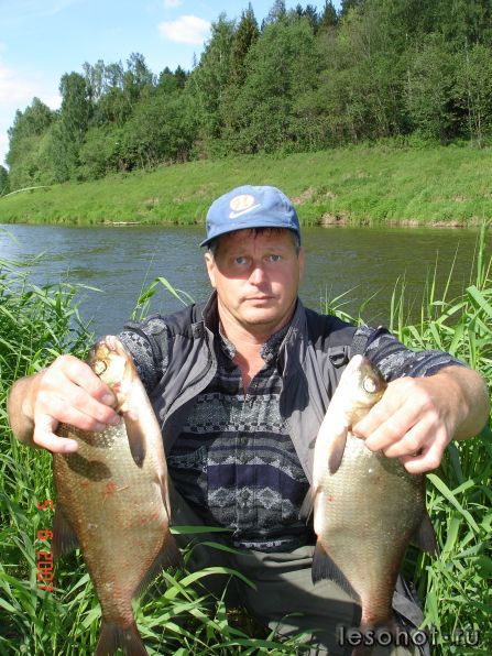  2007 