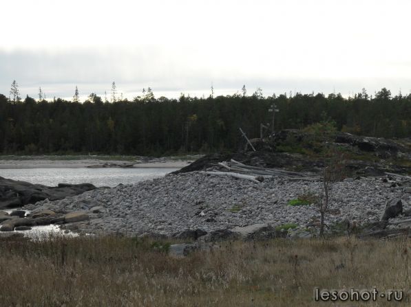 SDC10015.JPG