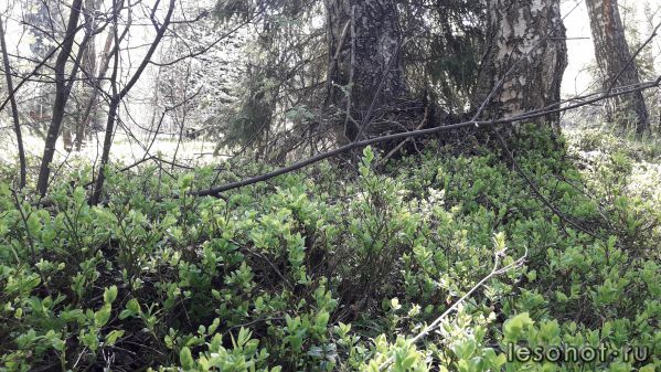 20180514_094526.jpg