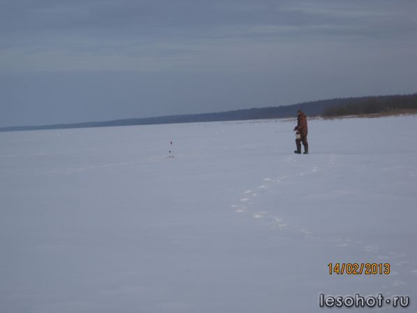 IMG_3821.JPG