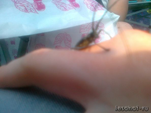07072012098.jpg