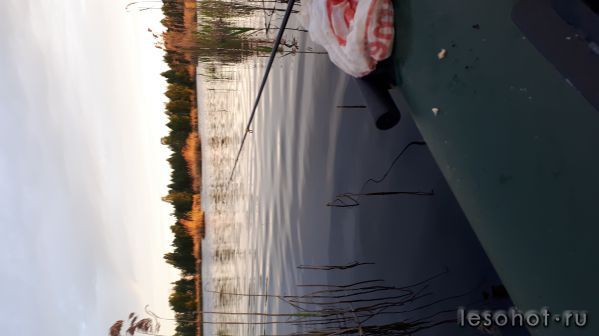 20180527_040943.jpg