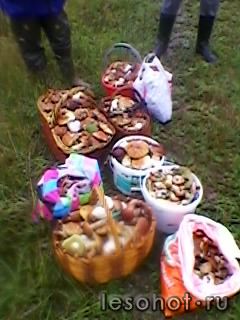 SP_A0155.jpg