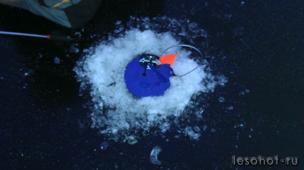 IMAG0955.jpg