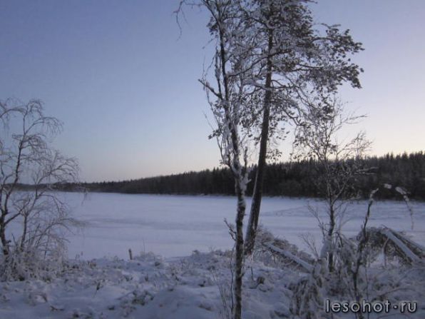 photo_00018.jpg