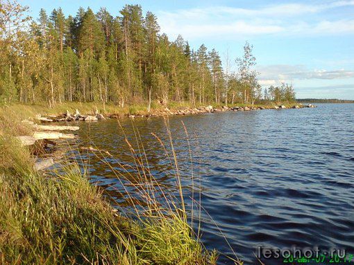 photo_00214.jpg
