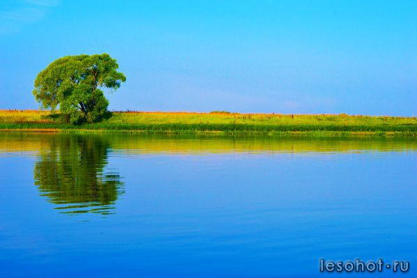 DSC_0089.JPG