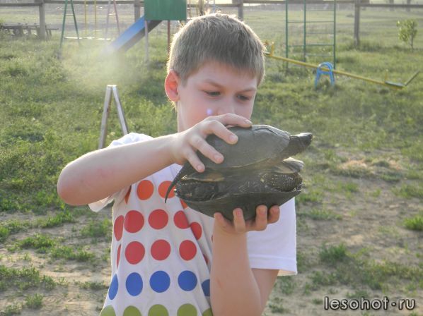 DSCN9733.JPG