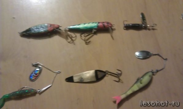 IMAG0113.jpg