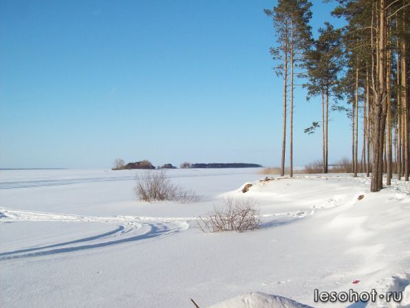 100_1529.jpg