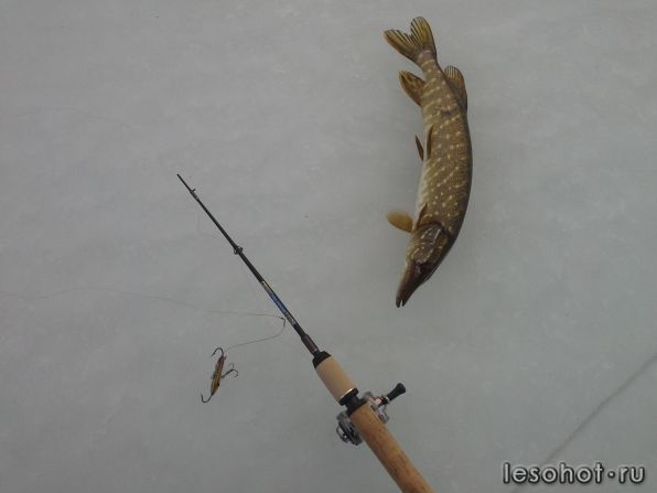 20131225_150759.jpg