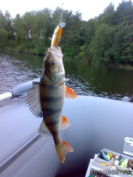 250720121880.jpg