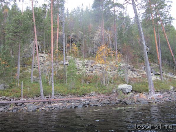 photo_00082.jpg