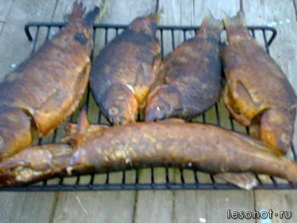11062012533.jpg