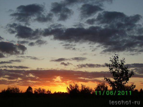 SANY0555.JPG