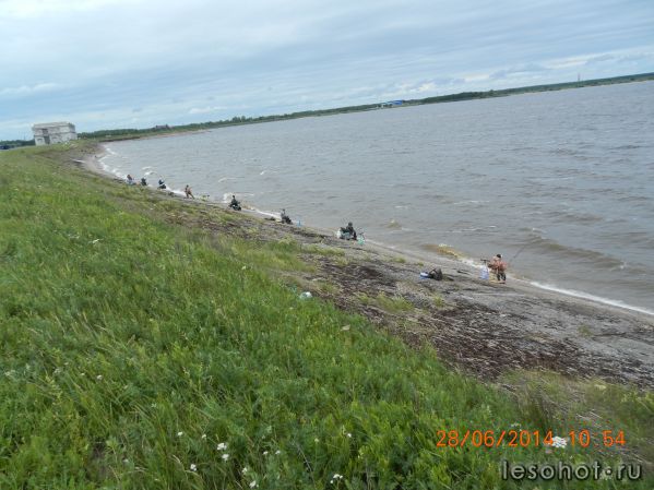 DSCN0957.JPG