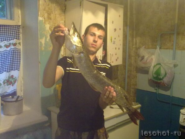 30062011236.jpg