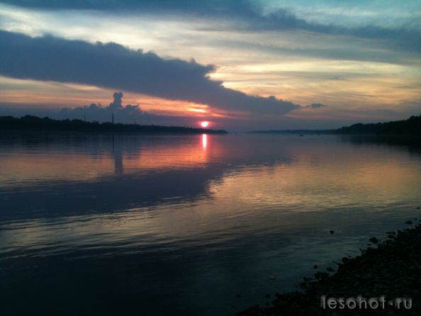 IMG_1295.jpg