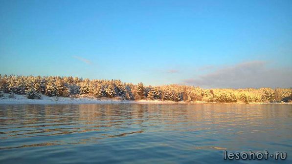 WP_20161105_14_55_09_Pro.jpg