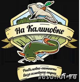 logo.png