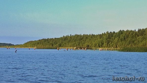 WP_20140731_024.jpg