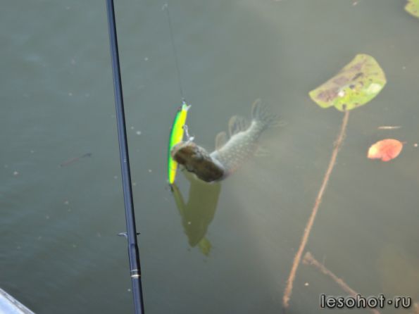 ����� 18.09.14 (5).JPG1.JPG