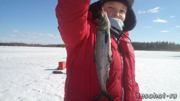 photo_00101.jpg