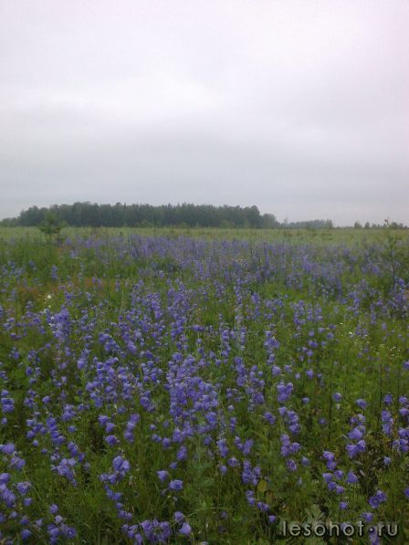 22062013575.jpg