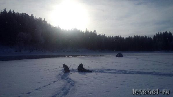 photo_00127.jpg