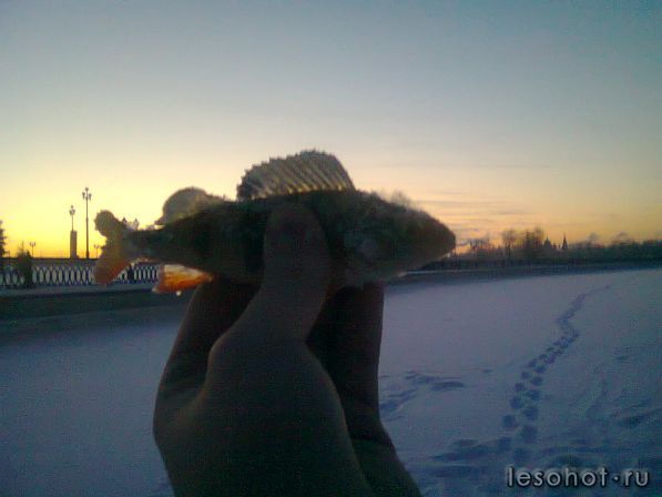 0697.jpg