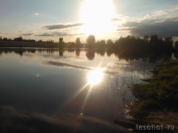 WP_000180.jpg