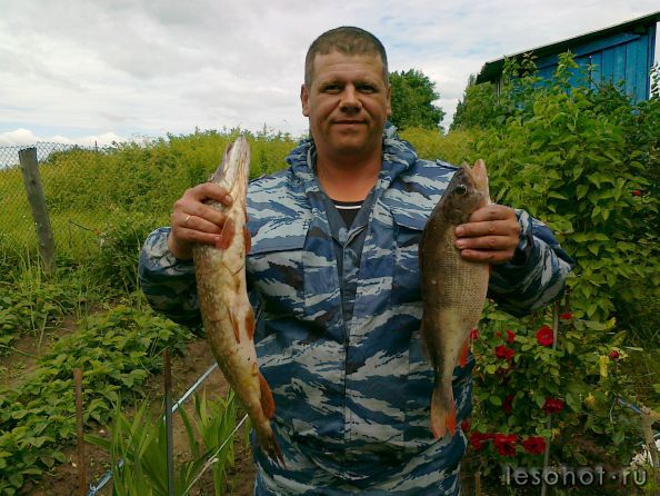 30062012108.jpg