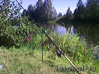 SP_A0145.jpg