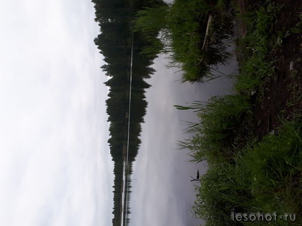 20180613_184903.jpg