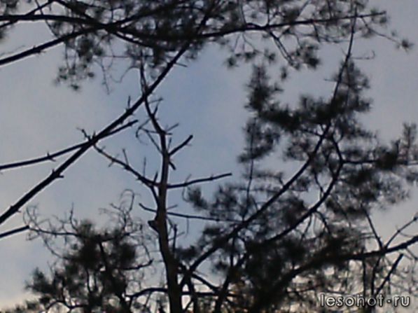 PIC_0075.JPG