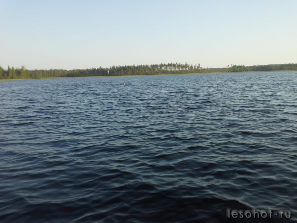 20140807_201719.jpg