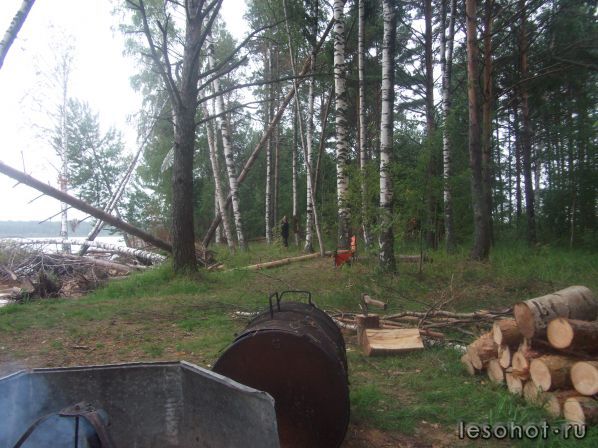 DSCF2677.JPG