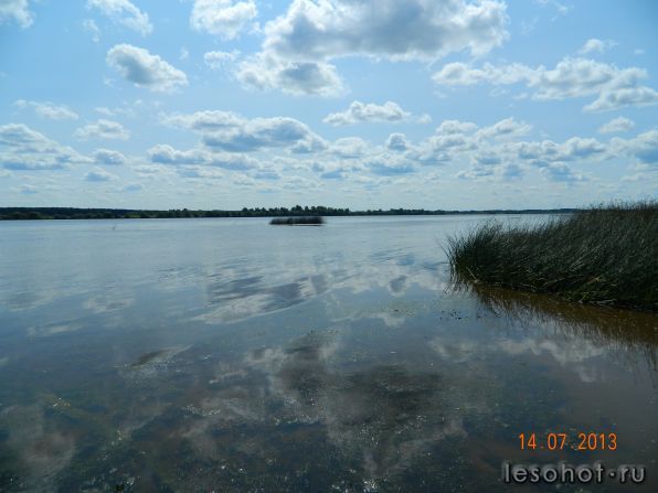 DSCN1615.JPG