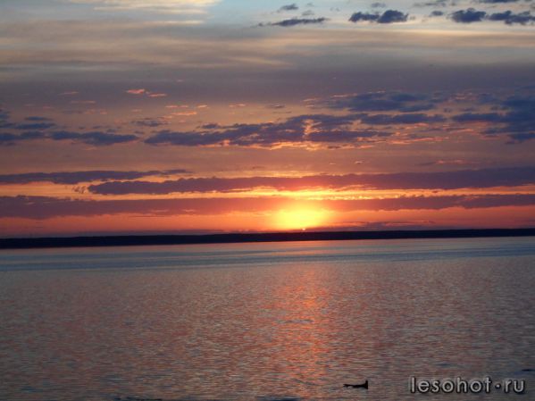 DSCN0215 - .JPG