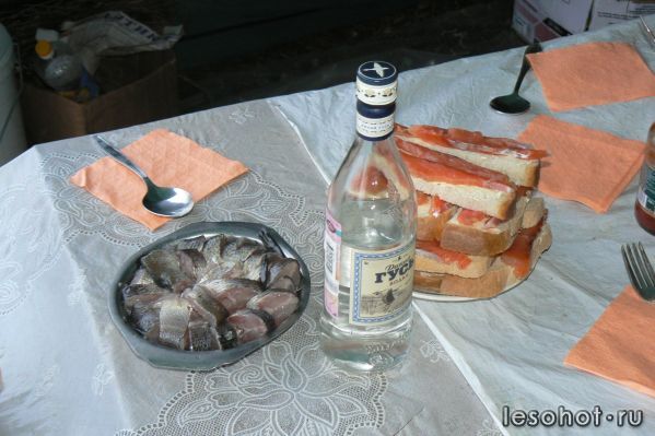 P1050462.JPG