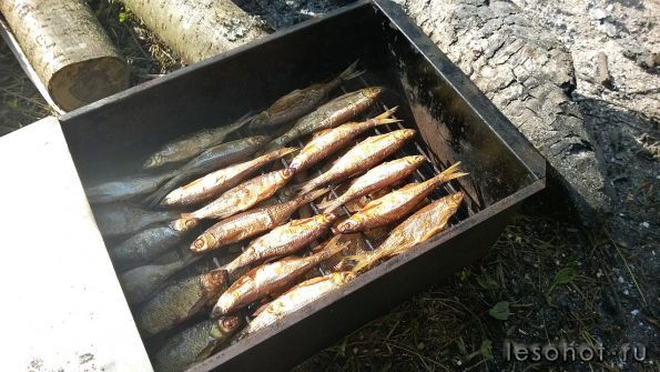 WP_20140730_016.jpg