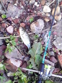 IMG0010A.jpg