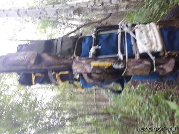 20180613_172527.jpg