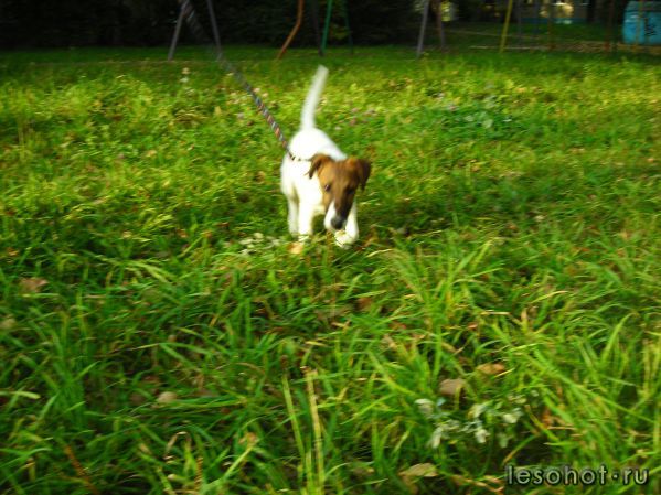 DSCN2493.JPG