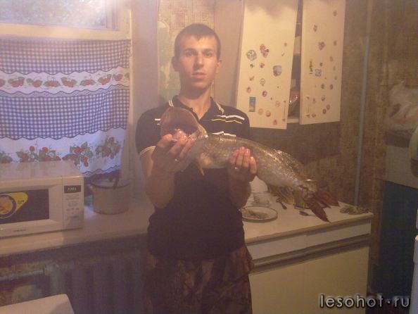 30062011235.jpg