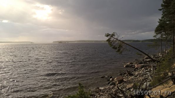 photo_00164.jpg