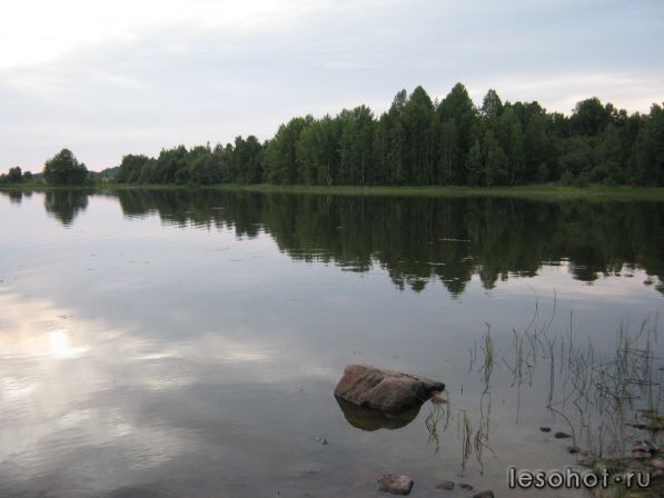 IMG_0267.JPG