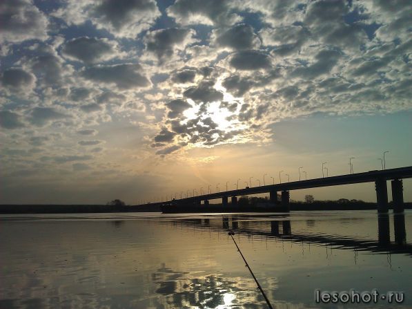 WP_001004.jpg