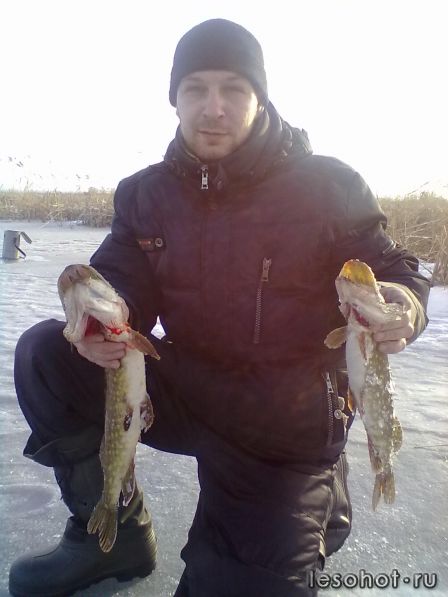 08012012261.jpg
